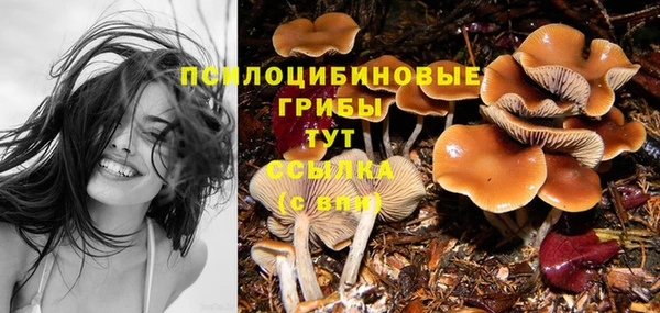 амфетамин Бородино