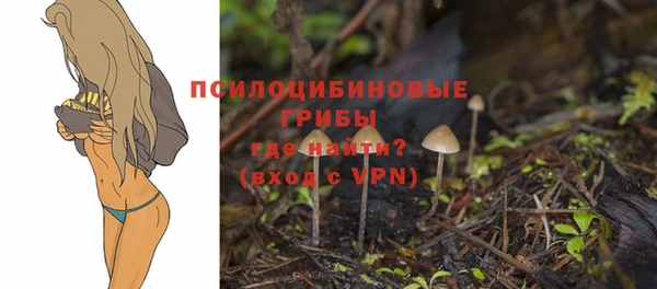 спиды Богданович