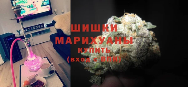 спиды Богданович