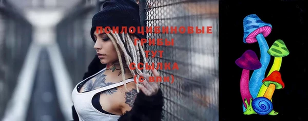 не бодяженный Богородицк