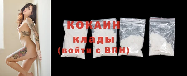 спиды Богданович