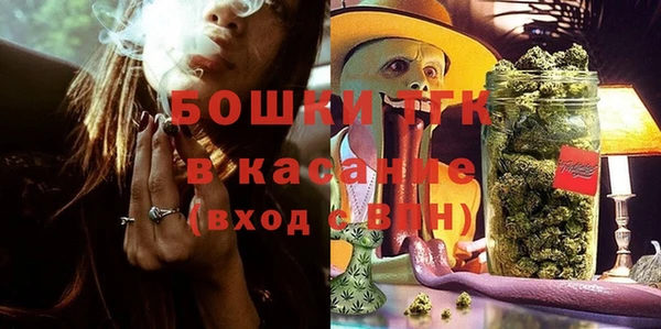 спиды Богданович