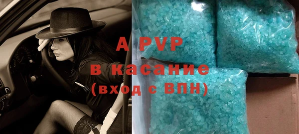 спиды Богданович